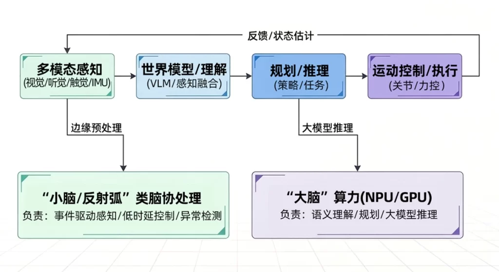 具身智能闭环与“大脑—小脑”协同